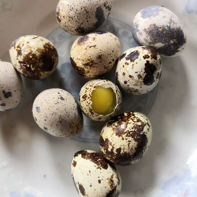 鹌鹑蛋新鲜生当天产包装养殖场直发孕妇宝宝辅食速卖通独立站跨境