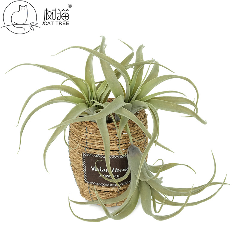 大号空气凤梨仿真花植毛多肉盆栽植物墙假花装饰仿真空气草批发