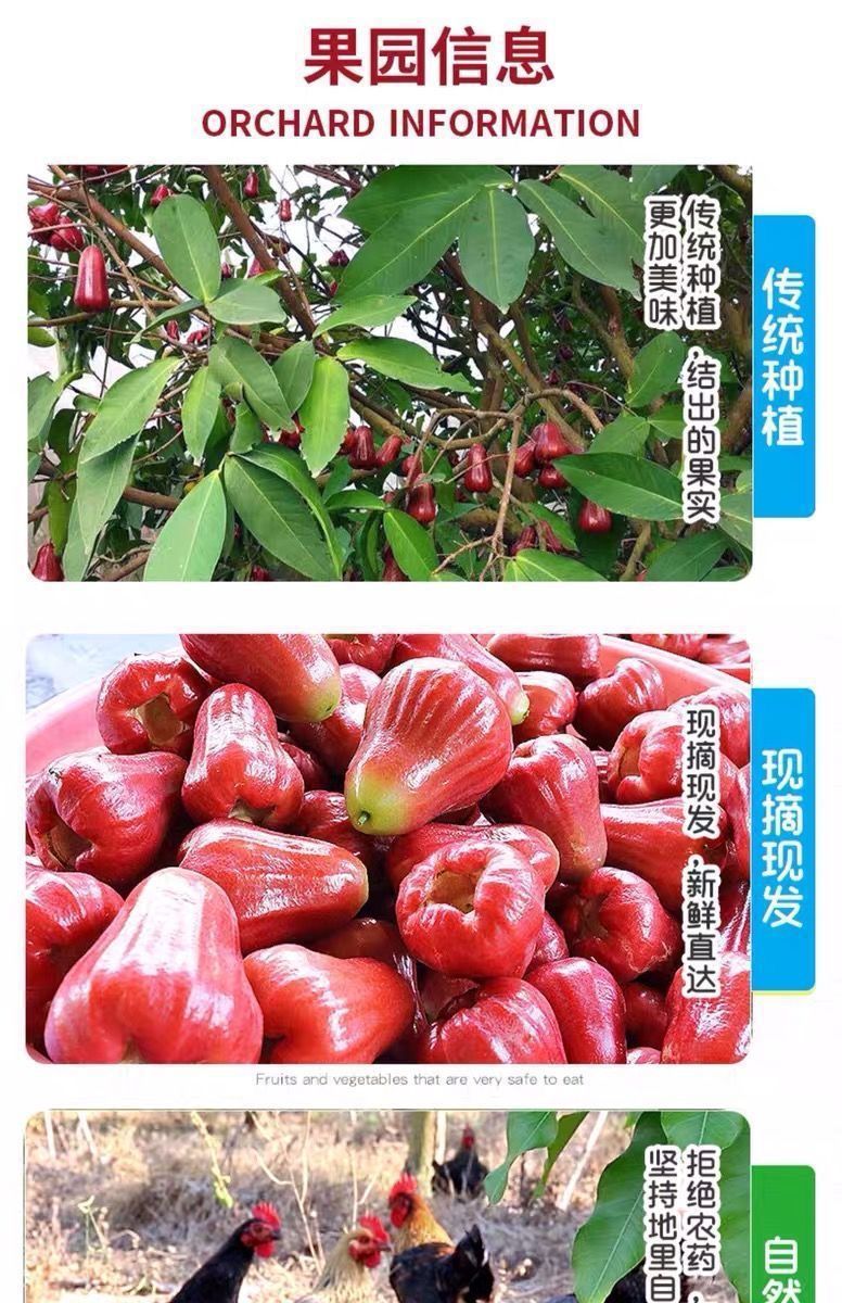 11798105-334f-438b-8f82-73c41e31d331.jpe