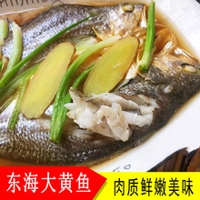 �|�����S�~ Ó֬���S�~ �S�~��(����ζ���r��