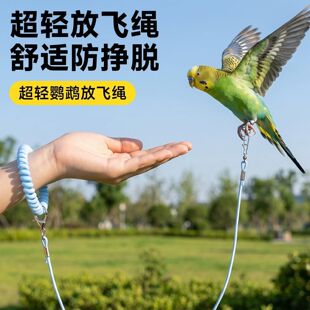 �W�^���p�_�h���w�K�����_С̫ꖌ��û�Ƥĵ�����P�_����B�����K