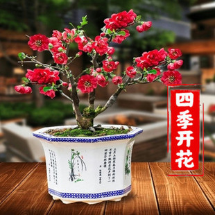 �ذ꺣�Ļ����Ԙ����辰�Ϙ�����ֲ���҃Ȼ��ļ��_��������B