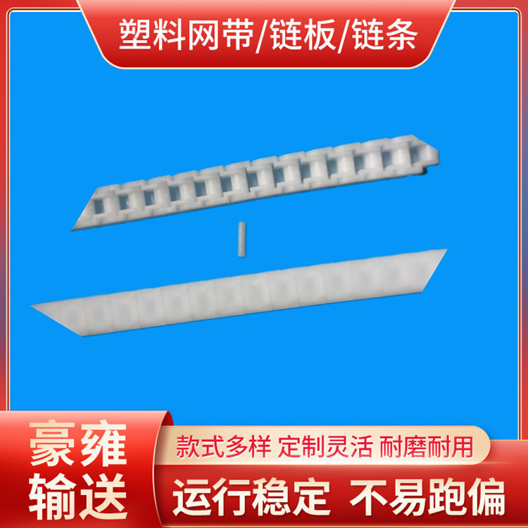 全PP40p小瓶输送链  全PP40p塑料链条 全PP40p小瓶传输链链轮