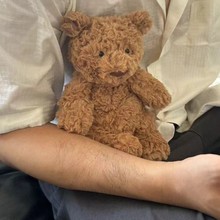 暹罗猫 德瑞克猎犬 皮皮虾 天空龙 海鸥 鹦鹉 各种动物植物玩偶