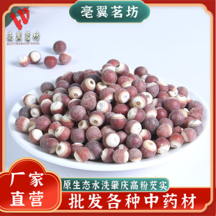 ��������ɢ�b��؛���x���w���tƤ�͌����u�^���͌������r��؛���l