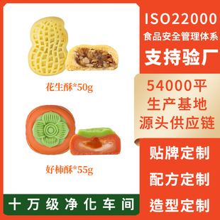 ���ӻ����ָ��c����OEM�N�ƴ��ӹ����°l�����c��������������Ʒ