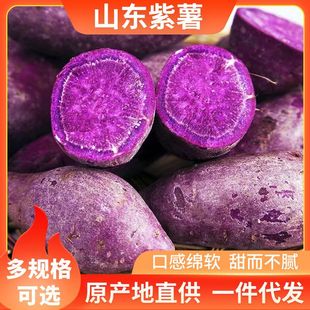 �����F�ڮ������r�����r��ɳ�����_�m���탞�x����s�Z���l