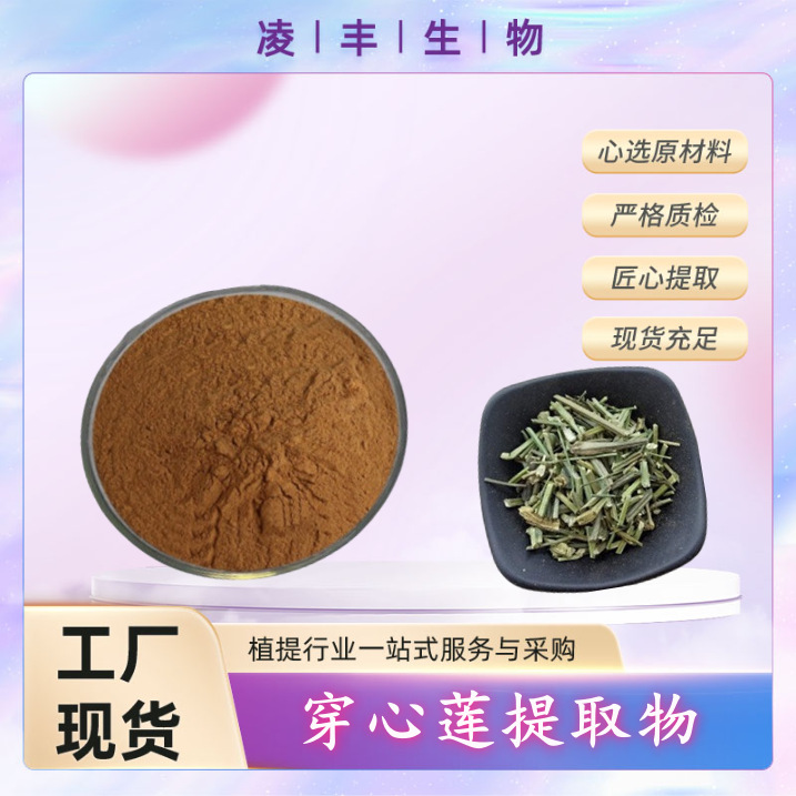 穿心莲提取物10:1 浓缩精华 穿心莲内酯 另有其他比例提取物现货