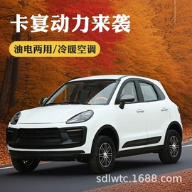 其他电动车;电动三轮车;电动代步车