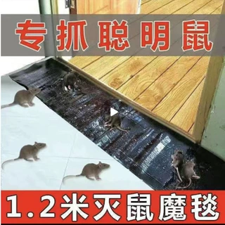 猫山王粘鼠毯老鼠贴灭鼠魔毯1.2米粘鼠板批发大厂家支持一件代发