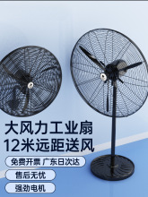 ���I�u�^��L�ȏ����������ţ���ȴ��L�����ʽ����ȩ���S����