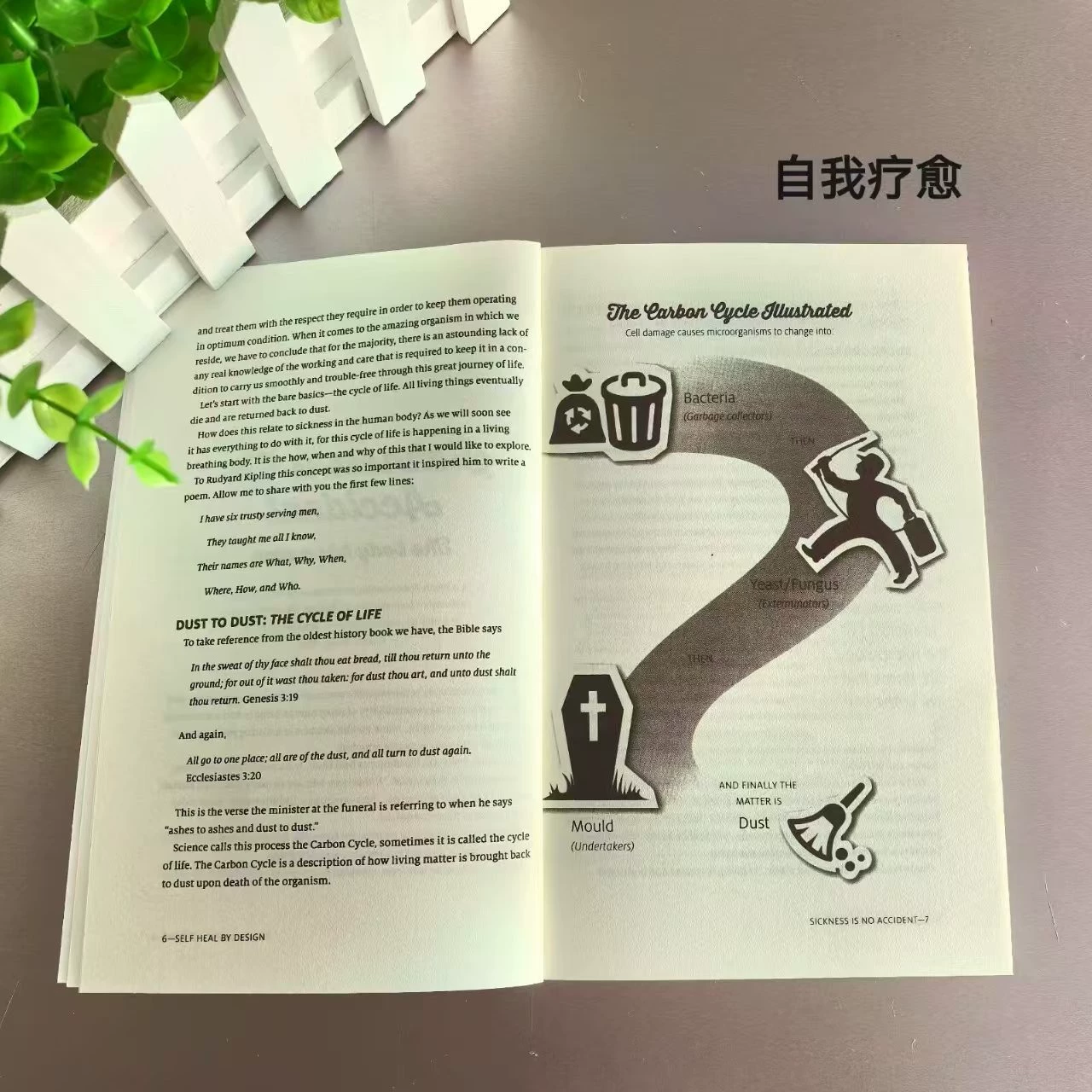 Самовосстанавливающаяся английская версия Self Heal by Design—Роль Micro-ONGAN
