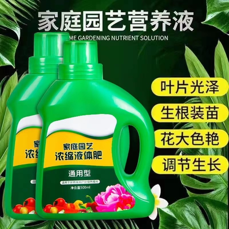 鉢植えのポトスとツツジ用の万能化学肥料、葉の乾燥と黄ばみを促進し、希釈せずに成長を促進する特別な栄養液|undefined