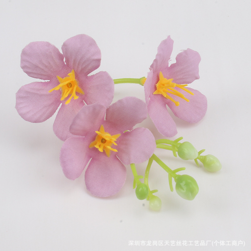 보라색