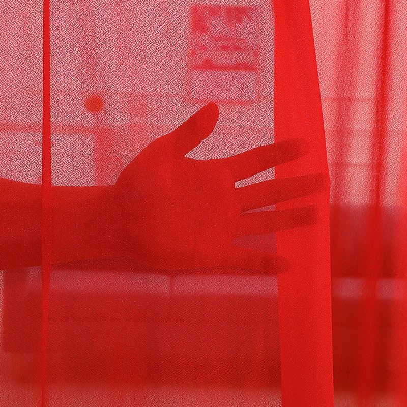 Cortina roja de boda de moda belleza hilo de encaje cortina de puerta dormitorio sala de estar simple cortina de partición a prueba de mosquitos