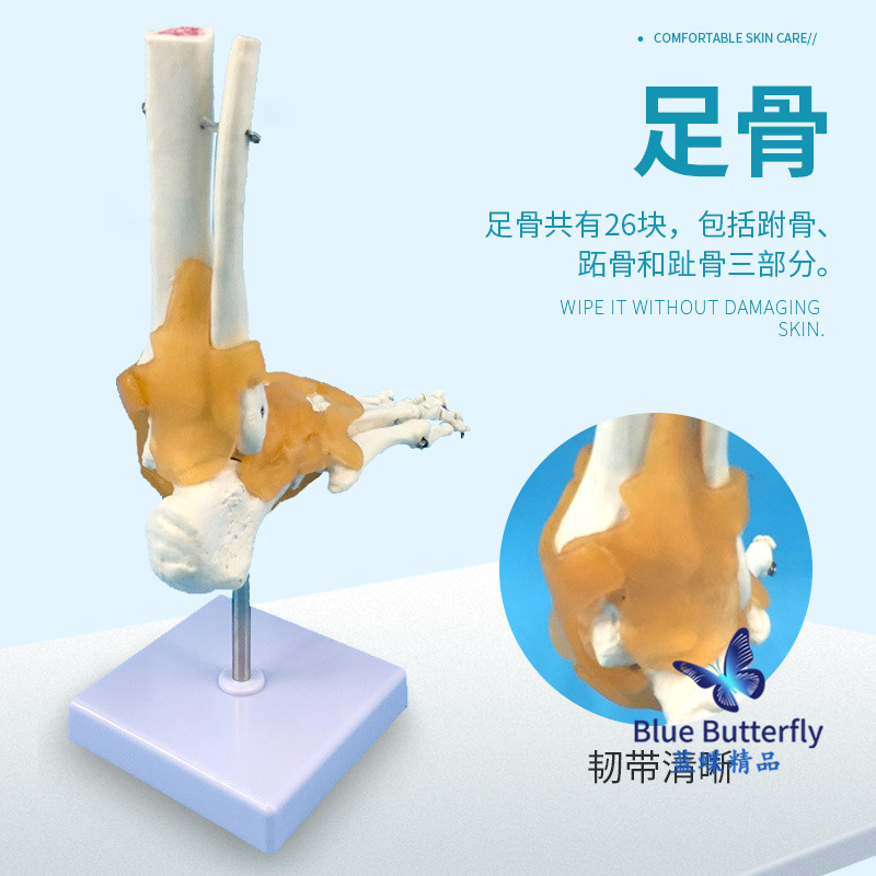 1:1�Źؽ�ģ�� ��������ؽ� �����㲿ģ�� ��ѧ��ѵר�ù���ģ��