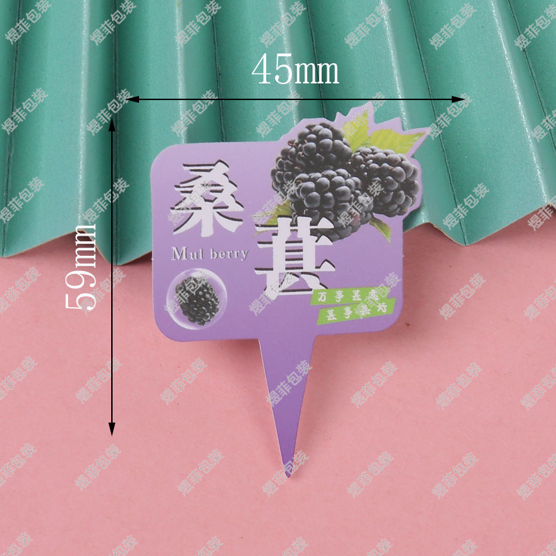 뽕나무 카드 삽입 H14;100