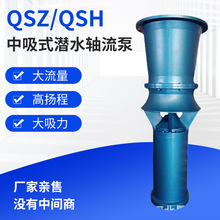 ���Ҷ���QSZ\QSH����ʽǱˮ�������ɹ��ҵ����ѩ��ʽ��Ѵ��ˮ��