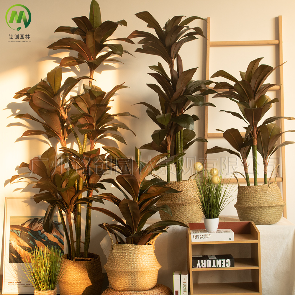 Planta verde de simulación de piso a gran escala, árbol de hierro rojo, madera brasileña, decoración interior, planta de simulación, hierro brasileño de borde amarillo