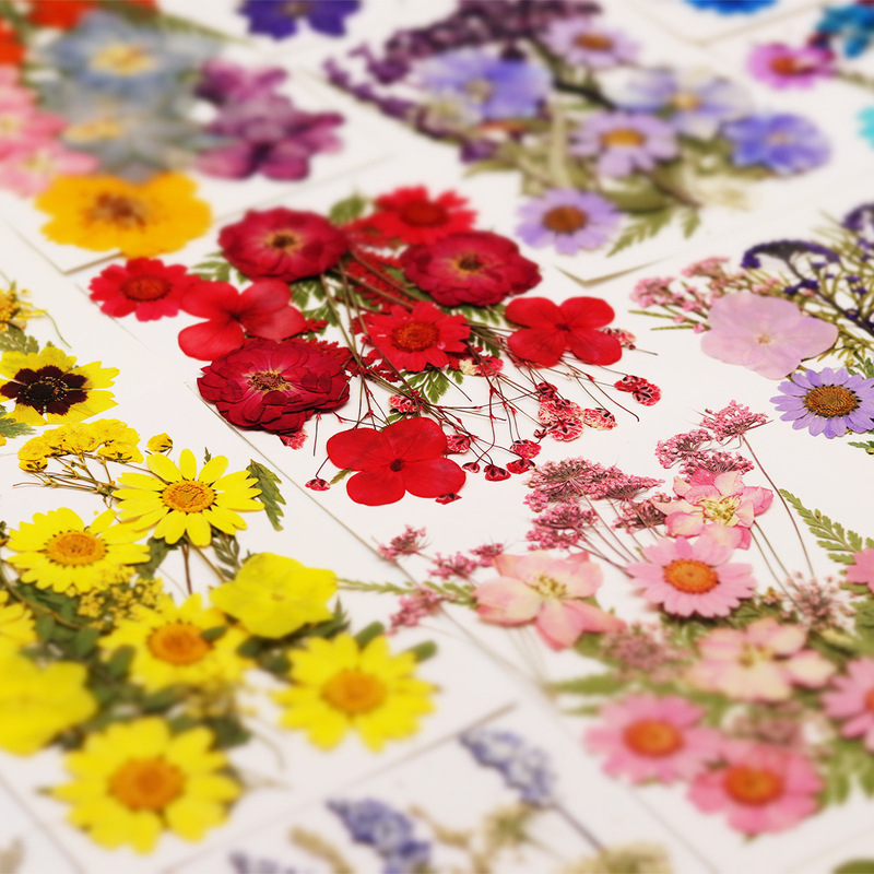 Dried Flower DIY Material Kit, Preserved Flowers, Pressed Flowers, Handmade Resin Bookmarks, Real Flower Plant Leaf Specimens, Free Shipping