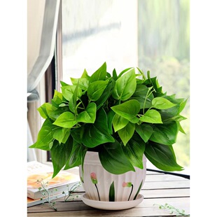 �G�}�Gֲ���b����ֲ��Ҿӿ͏d�b����Ԕ[�O�k���Ҕ[��