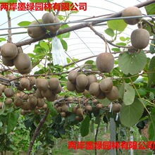 �J���ҹ�����޽�����t��ܛ�����Ә����Ϸ������Nֲ���J������