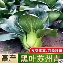 ~_Kr๣ܛŴɿ͟ϺrļK