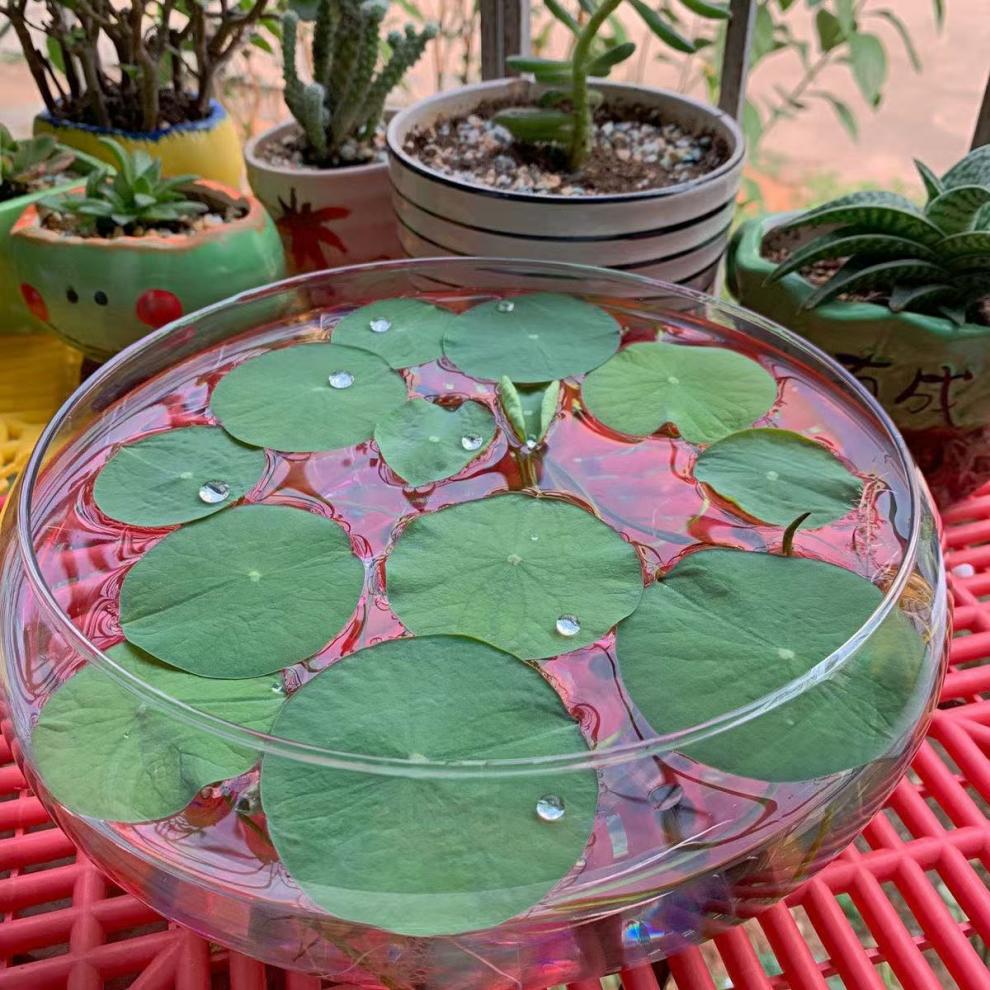 a8f7958c-b31b-4fef-9cd7-f46c8d4ac064.jpe