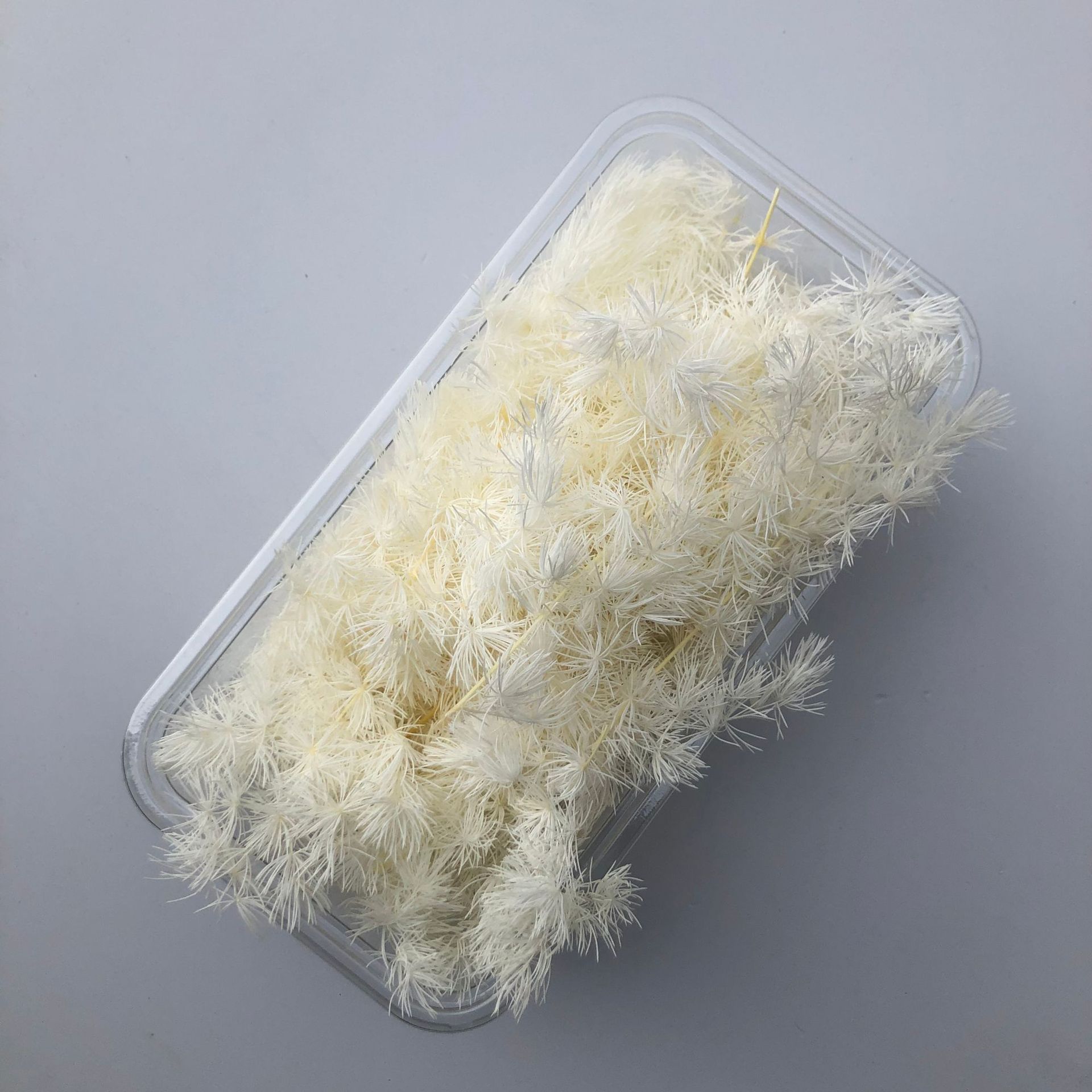 Branche de pin de Penglai éternelle, couvercle en verre, matériel de bricolage, accessoire de décoration florale flottante pour la maison_voghion.com