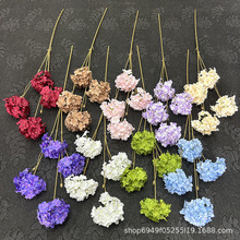 �¿�羳���滨4�^�ǹ������c�Y�õ����bٻ��W�t�����ٲ���