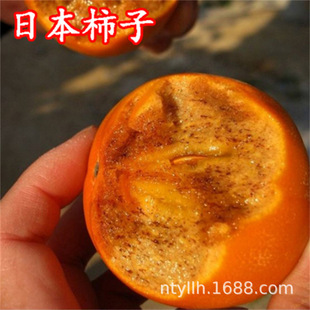 ��Ʒ�N����ܹ����� ������ �ɿ������� �������� �����箔��Y��