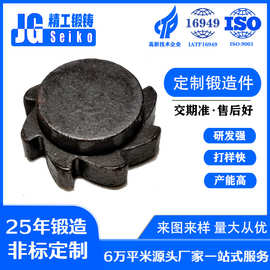 湖南广东锻造厂机械设备零件加工热模锻五金配件CNC毛坯锻件生产