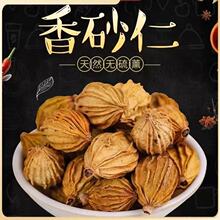 香砂仁正宗川砂仁香砂金砂仁优质特产炖肉卤菜料香料去腥中药调料