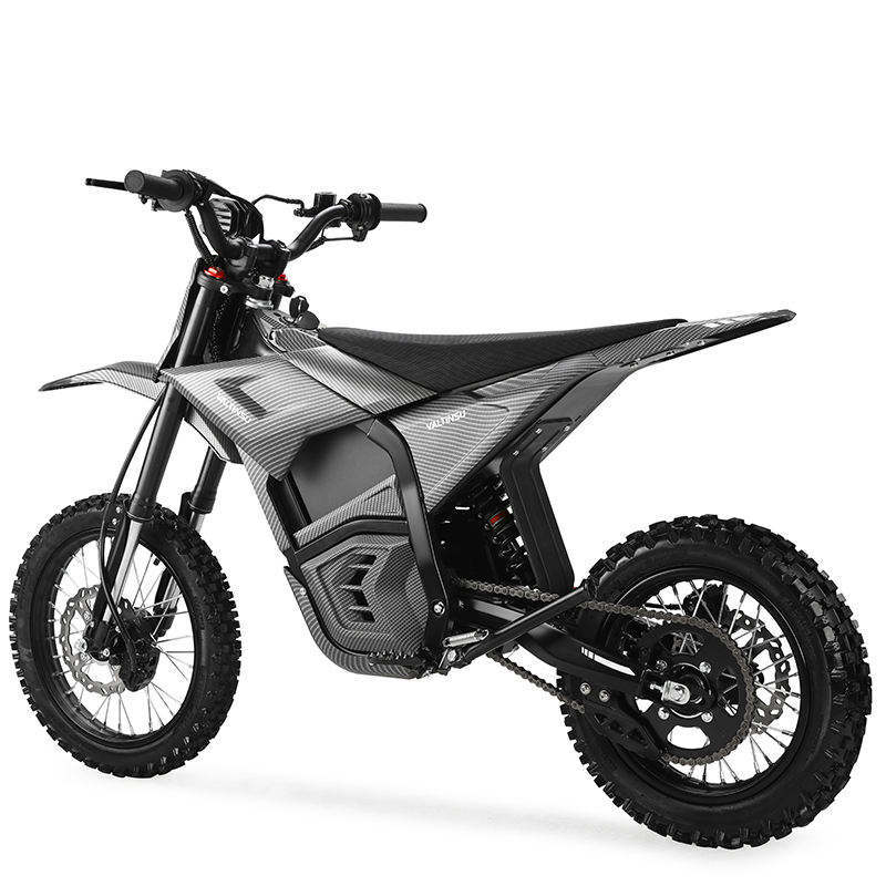 M1 Electric Motorcycle 14inch High-Power Off-Road Powerful Electric Motorcycle