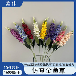 ���滨���~��/�L����  ��c�Y�È��������b��ܵ��ŵ��ŷ��滨