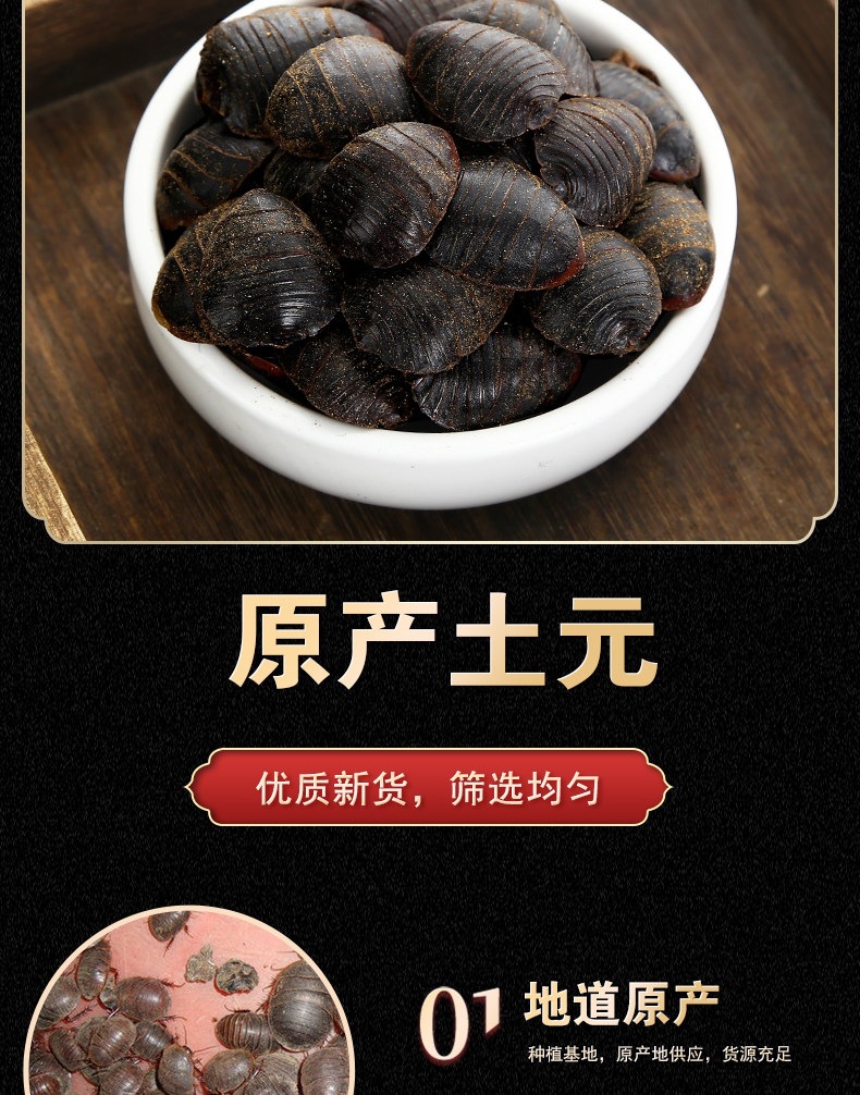 Dried Ground Beetle Tu Yuan 土鳖虫 Whole Insect TCM Herb 500g Selected Large Size overview