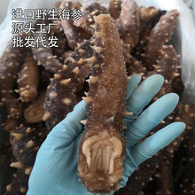 ���l����˹�Ӽt�̅���������t�̅�����Ұ���t���M�ں���Դ�^�S��