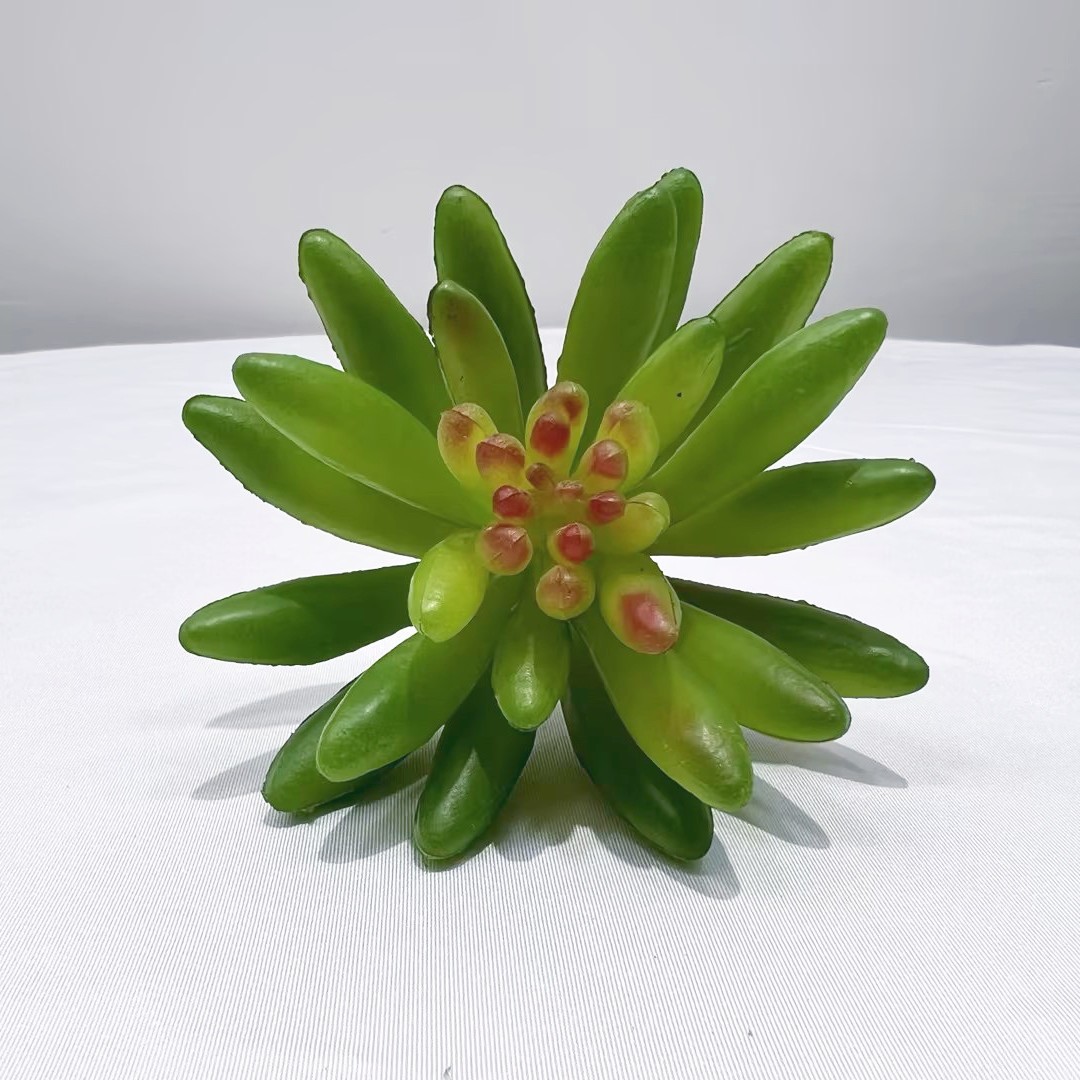 Marco decorativo Planta nórdica colgante de pared decoración de pared colgante de pared tridimensional pared de fondo de planta verde pared cabeza de ciervo simulación suculento planta verde