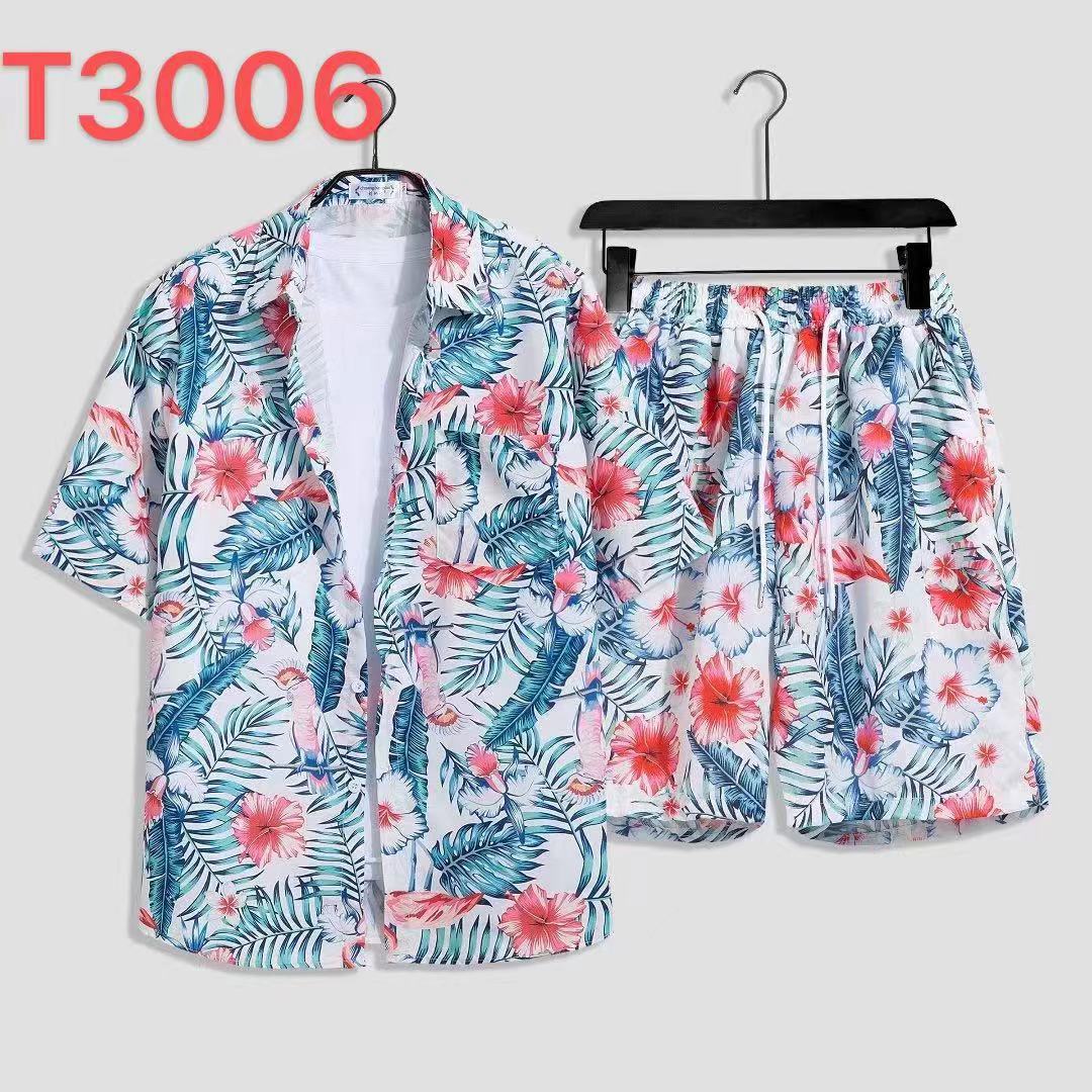 T3006