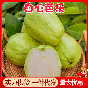 ���ڰ��İŘ�9�����䷬ʯ����˰͘����r����ˮ��10���l5ţ�̰Ř�