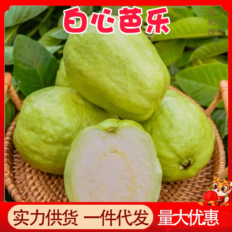 Натуральная белая гуава «Сердце» (10 штук в коробке), хрустящая гуава Панбаоле, свежий сезонный фрукт, оптом, 5 молочных гуав (новинка)