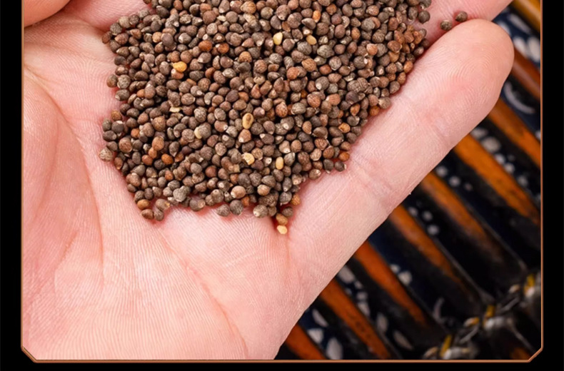 Perilla Seed Zi Su Zi 紫苏子 Dried Seeds 500g Bulk Culinary Seasoning Herb details