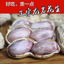 2025年新龙岩花生水煮花生自然白晒干500g袋装原味盐水咸干零特产