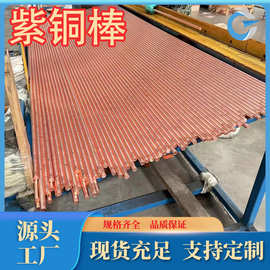 厂家现货供应T2紫铜棒 耐磨T2铜棒 可批发零售 各种规格牌号齐全