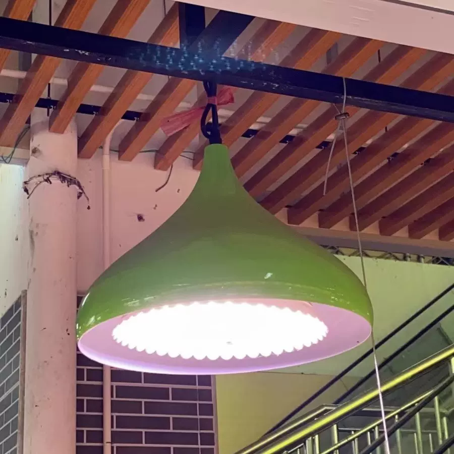 led透镜生鲜灯市场鲜肉灯卤肉灯超市水果蔬菜吊灯生鲜蔬菜专用灯