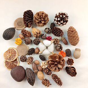 �͹Ÿɻ�ľƬ�ɹ�DIY�׃��@���Ք[����@�L�b�ɭϵ�L⏲��ϰ�