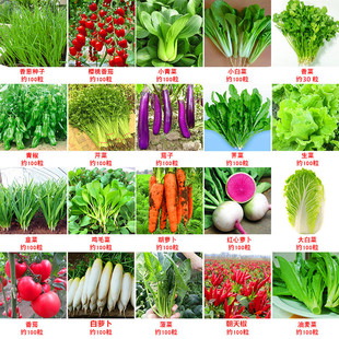 �ļ��߲˷N�ә����}�������}Ů�����С���[��ݮ�ཷ�uë�˷N����