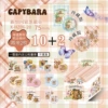 Kapibara