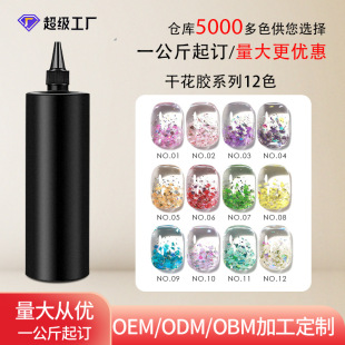 ʮ������ɻ�ָ�����z�����b2024���W��Ƭ�ɻ��z��ͰOEM�����N��