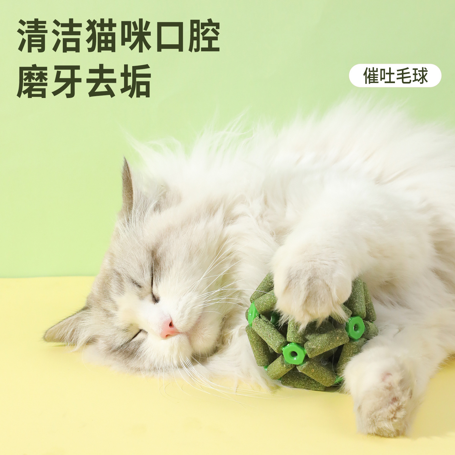 Z gatos menta bola gato molar bola de pelo gatos bebés gato aliento fresco bola de menta juguete gato